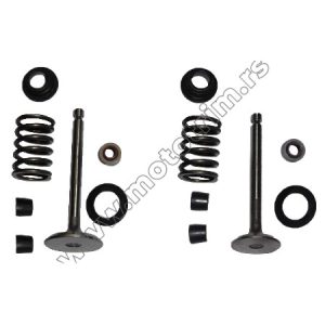 Set (ventili, gumice, opruge, podmetači) / KIPOR 178F